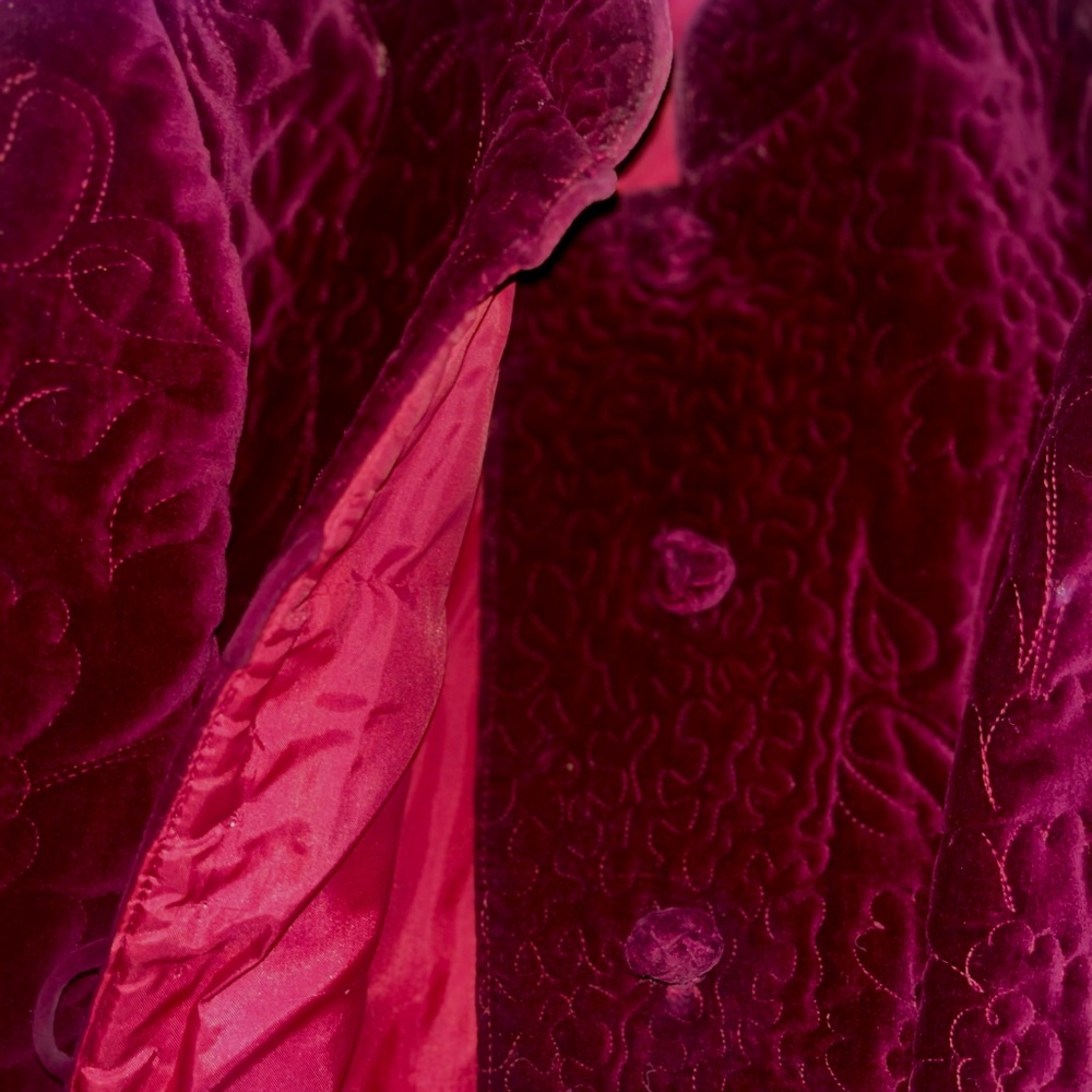 Vintage Velvet Burgundy Jacket with Embroidery - Picture 6 of 12